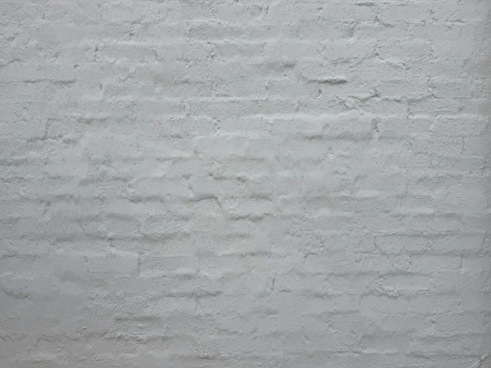 White-painted brick wall texture provides the image's focus.